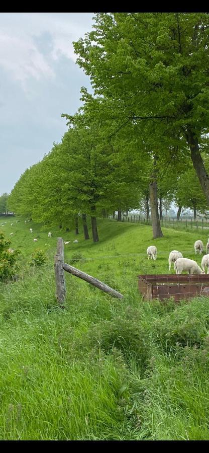Bungalow Scheldezicht in Zeeland dicht bij zee Scherpenisse Buitenkant foto