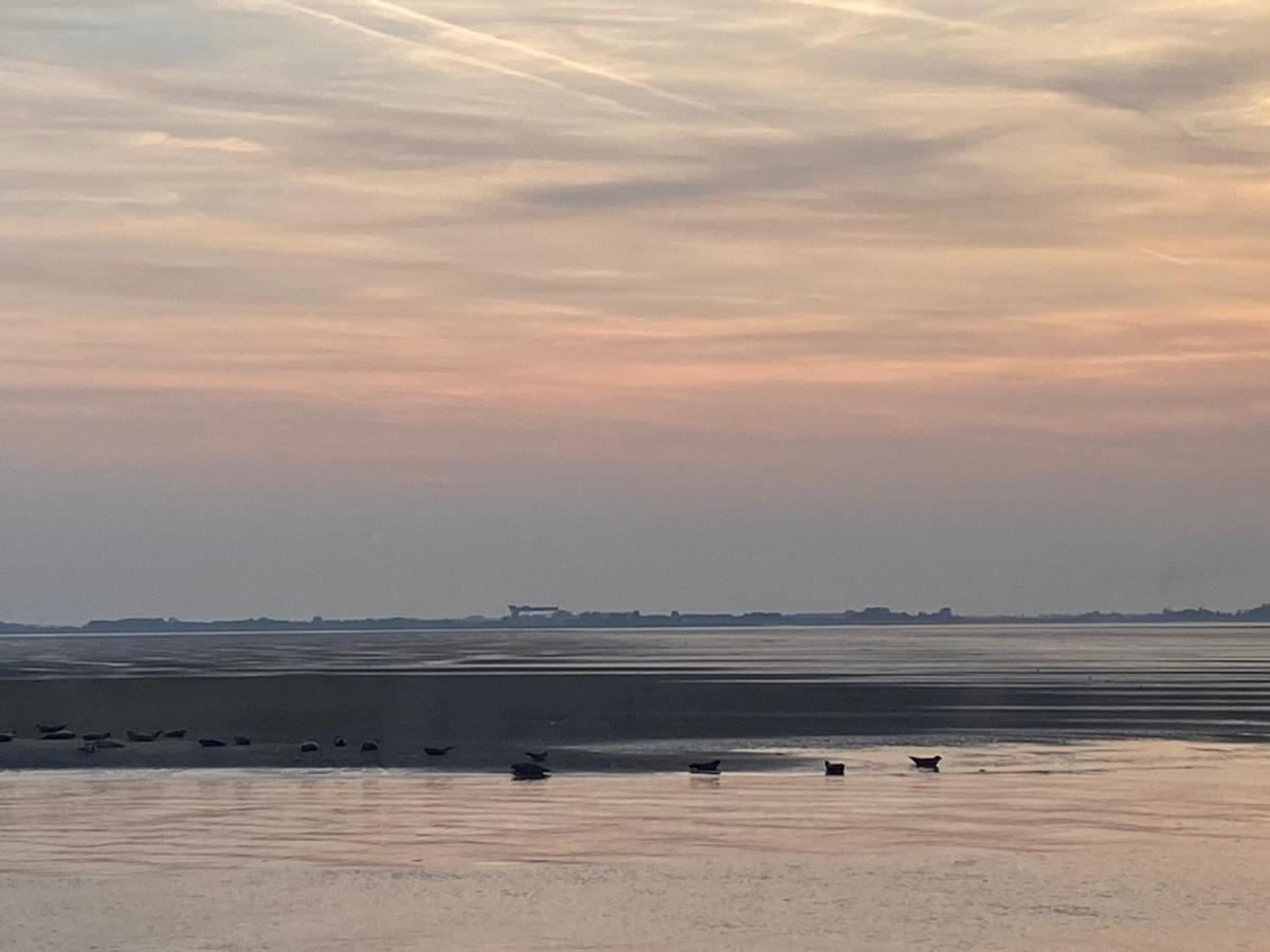 Bungalow Scheldezicht in Zeeland dicht bij zee Scherpenisse Buitenkant foto