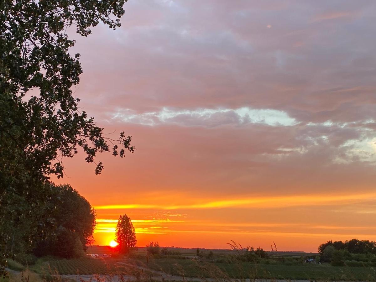 Bungalow Scheldezicht in Zeeland dicht bij zee Scherpenisse Buitenkant foto