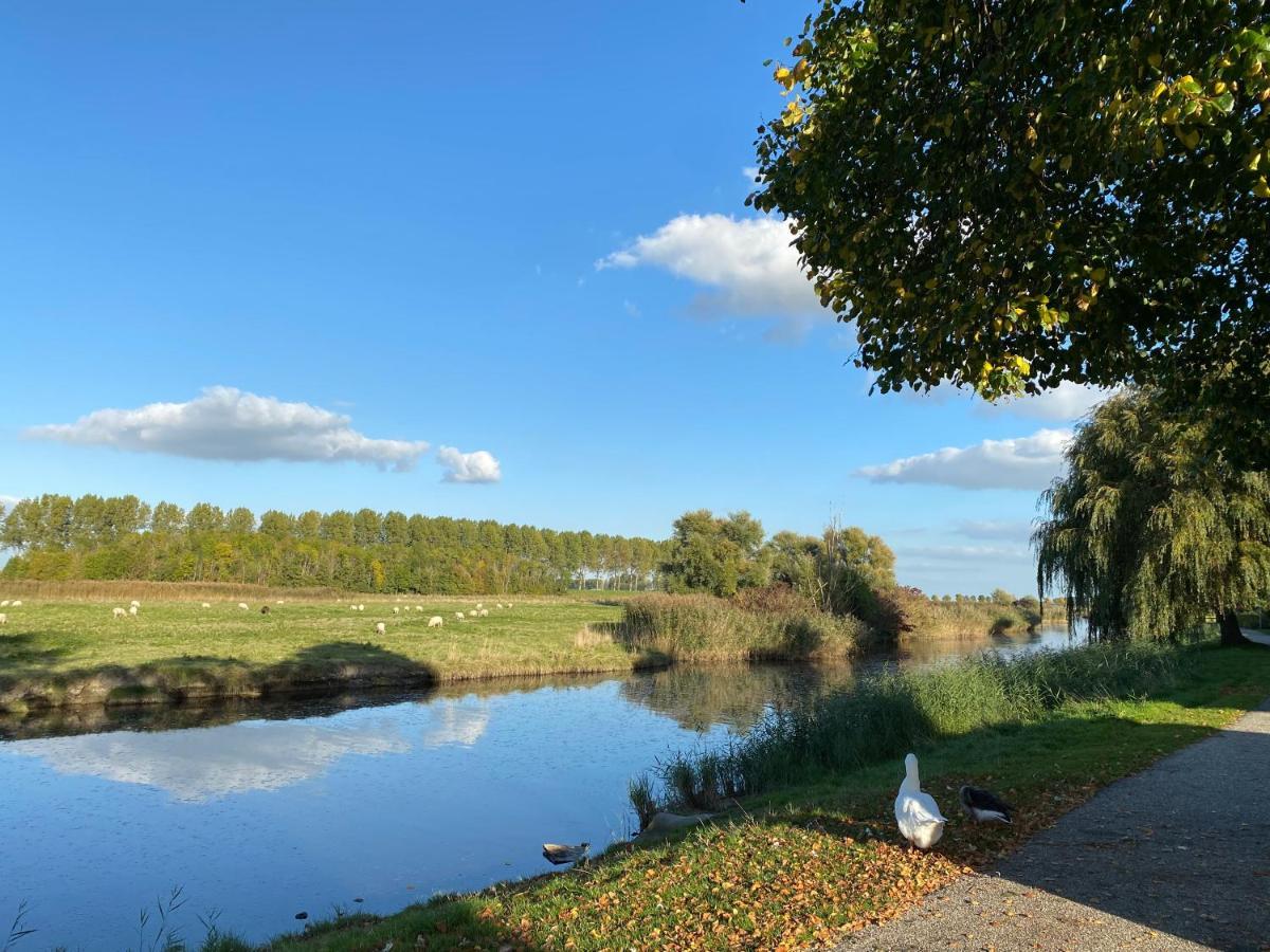 Bungalow Scheldezicht in Zeeland dicht bij zee Scherpenisse Buitenkant foto